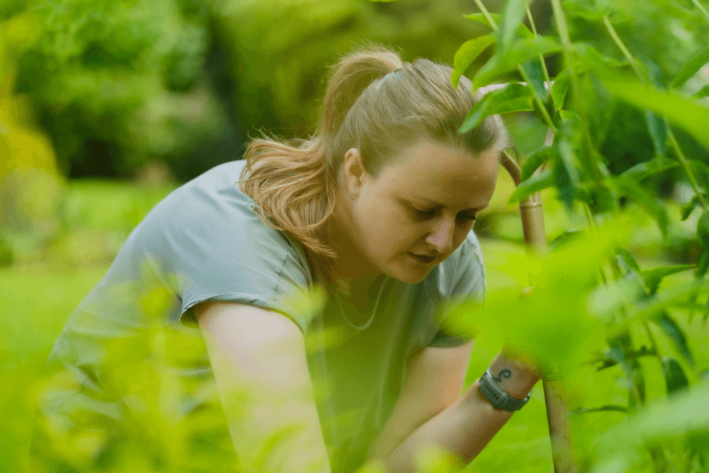 Close up shot of Pauline planting in a garden