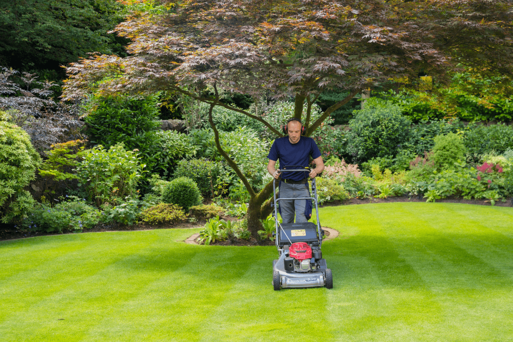 Andrew cutting grass with a lawnmower