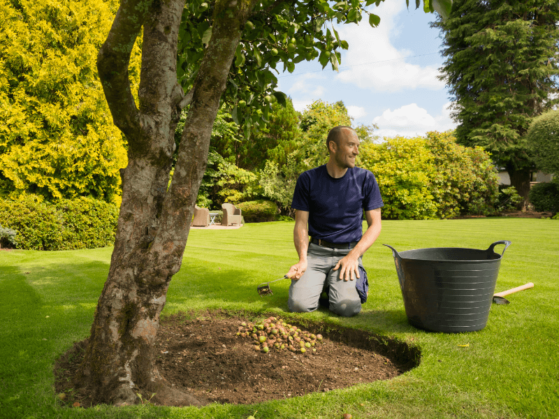 Andrew on his knees planting in a garden