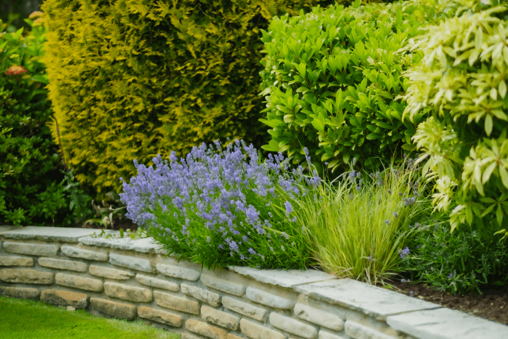 Planting Design