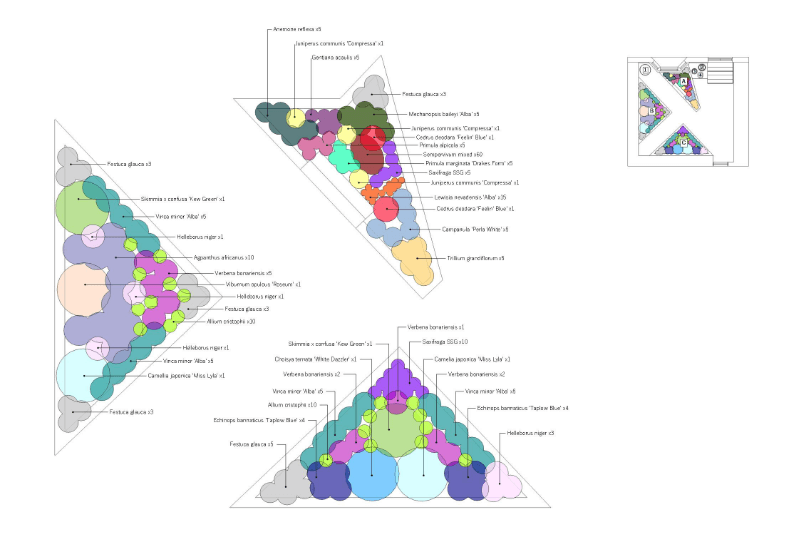 Detailed plan of where plants will go